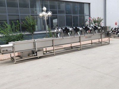 玉米蒸煮风干流水线