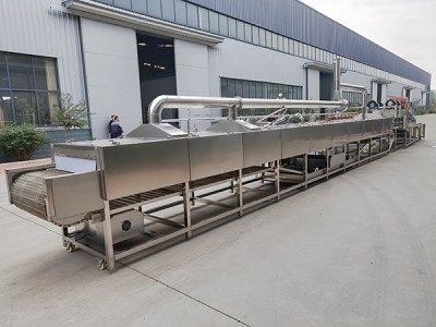 蜜署   红薯清洗烘烤流水线