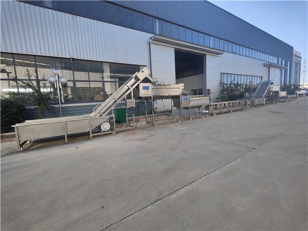 红薯清洗去皮流水线