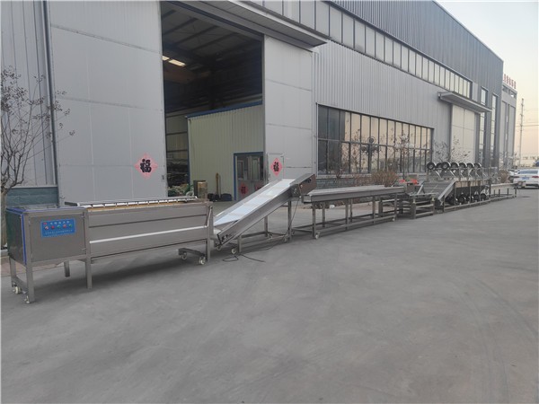 根茎类加工流水线