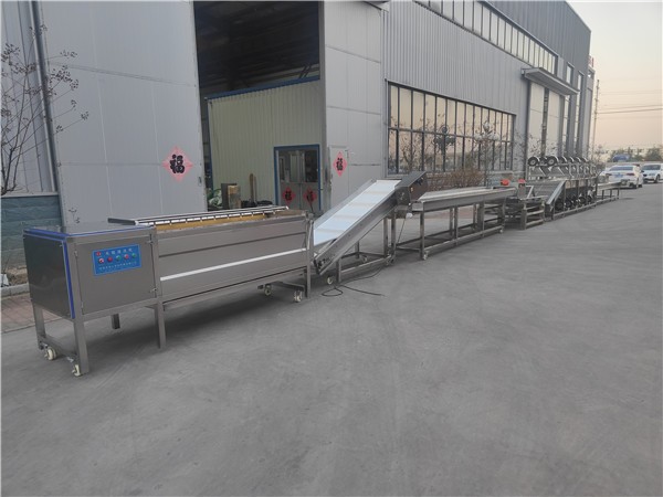 根茎类加工流水线